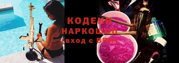 гашик Лабытнанги