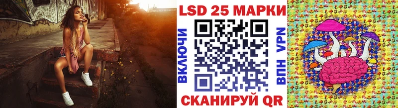 мориарти телеграм  где купить наркоту  Суздаль  Наркотические марки 1500мкг 